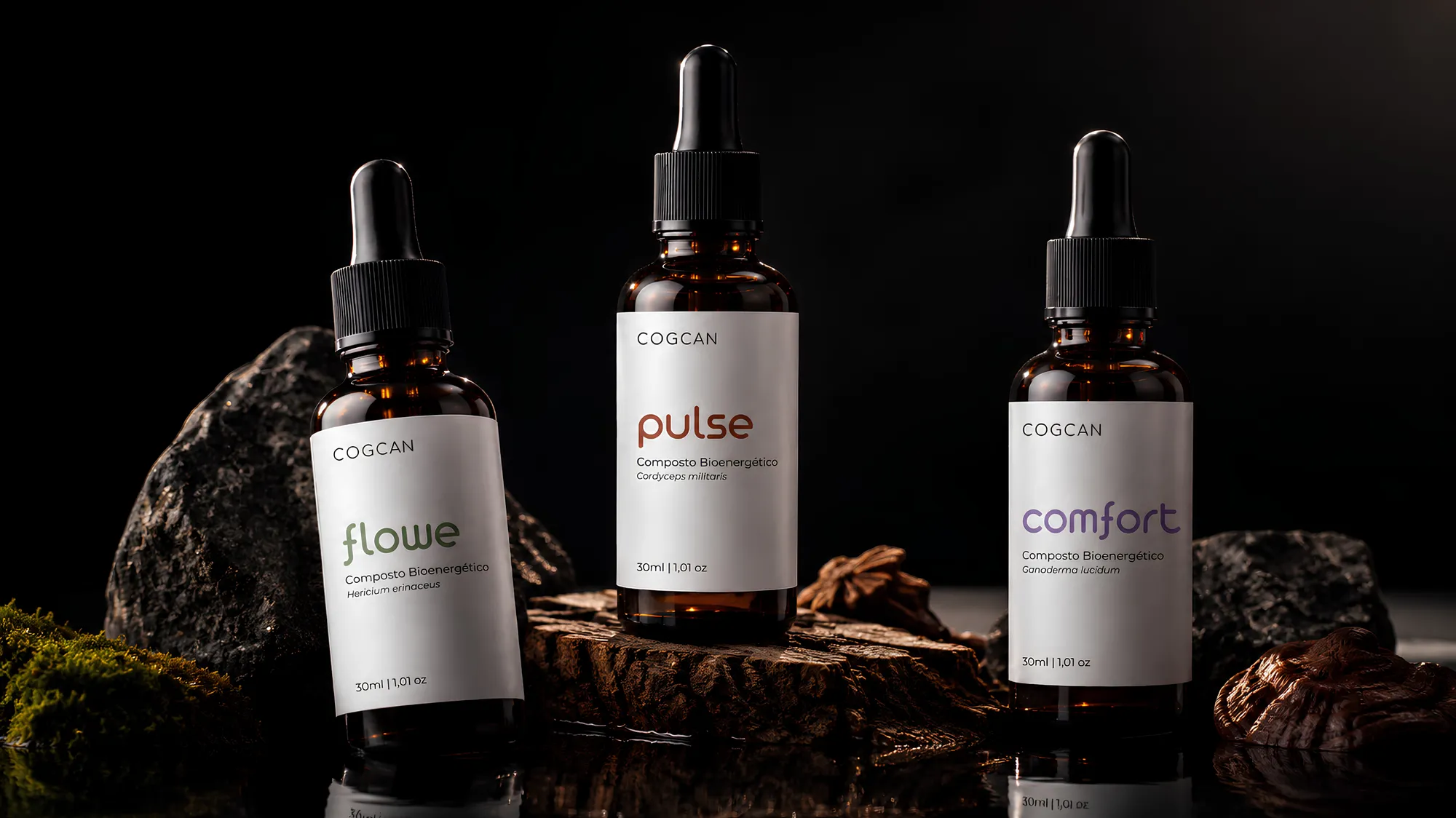 Fim do dia: os compostos flowe, pulse e comfort em cena escura, com Reishi sobre pedra.